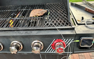 IBT-26S BBQ Thermometer Review