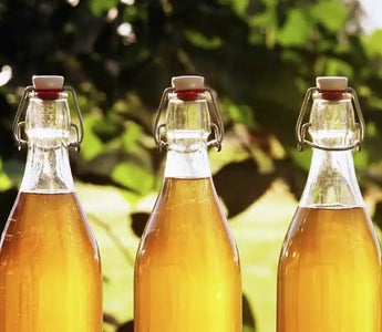 How to Brew Mead at Home: Mead Brewing Recipe - INKBIRD
