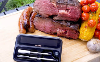 How to Choose INKBIRD Wireless Meat Thermometer