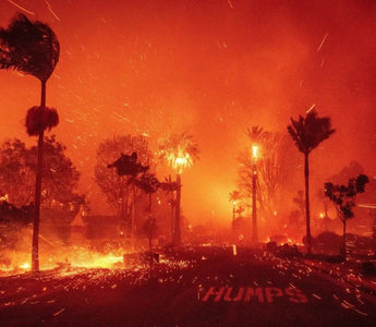 How to Protect Indoor Air Quality During and After a Wildfire? - INKBIRD