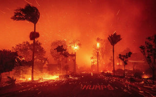 How to Protect Indoor Air Quality During and After a Wildfire? - INKBIRD