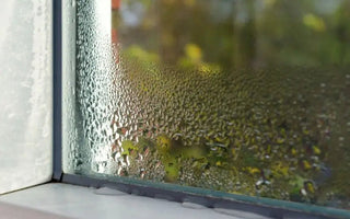 How to Reduce Humidity in House? 10 Tips to Lower Indoor Humidity - INKBIRD