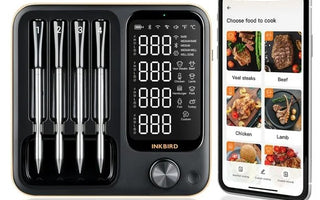 INT-14-BW Wireless Meat Thermometer Review