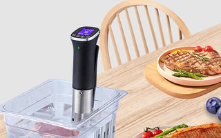 ISV-300W Sous Vide Cooker Review