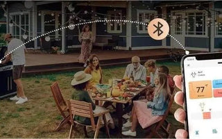 The 4 Best Bluetooth Thermometers for Meat Cooking - INKBIRD