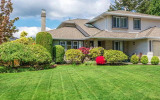 Top 10 Pro Tips for Lawn Care and Maintenance - INKBIRD