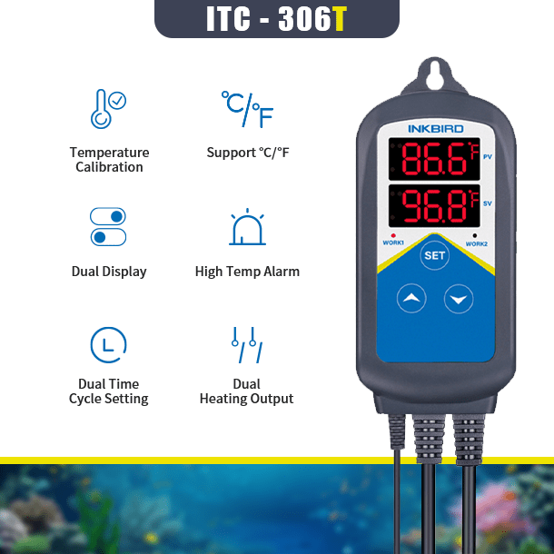 Neon Tetra Fish Care Guide: From Tank to Diet – INKBIRD