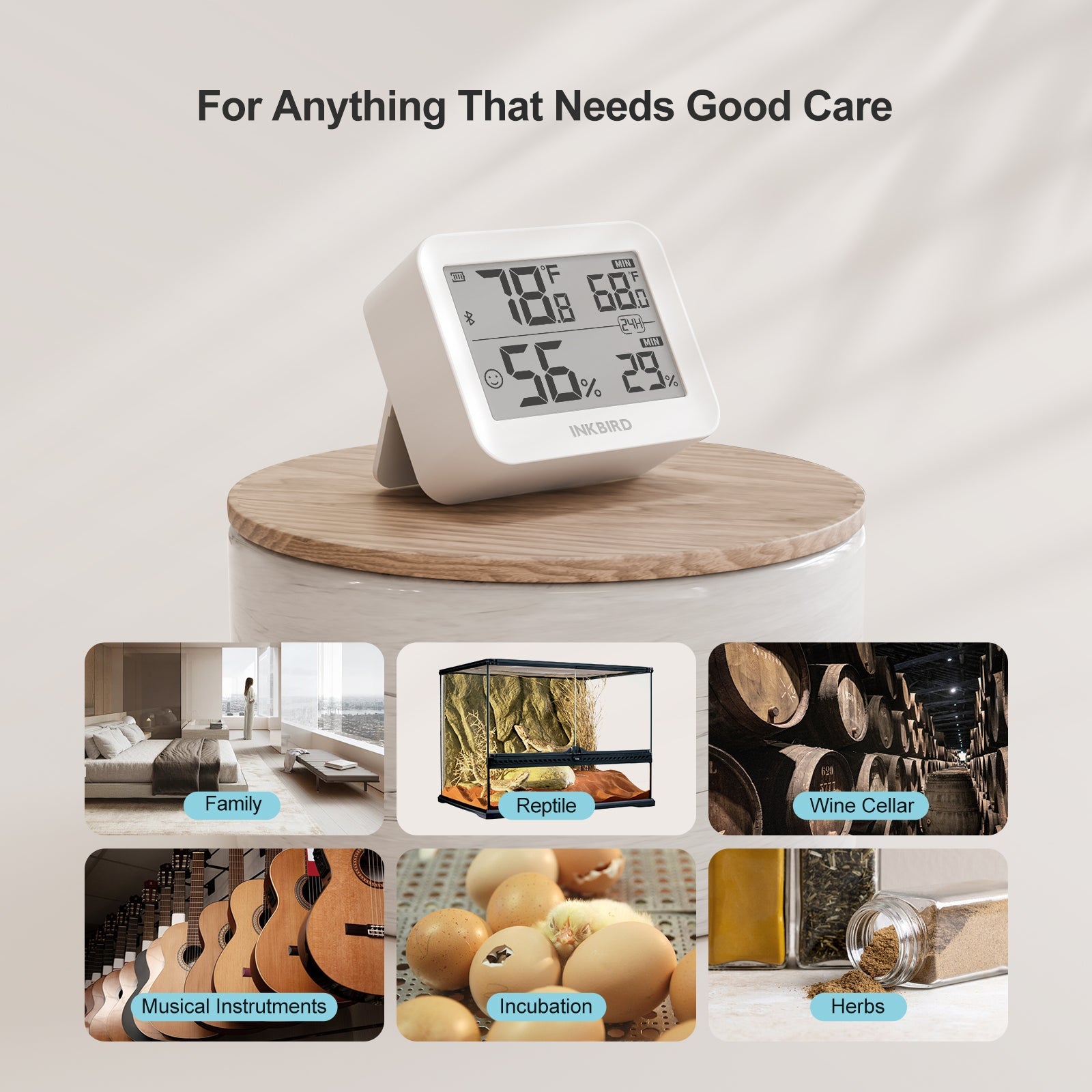 Die 5 besten Gewächshaus Thermometer im Test Die 5 besten Gewächshaus Thermometer im Test