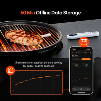 Bluetooth Mini Wireless Meat Thermometer INT - 11I - B - INKBIRD