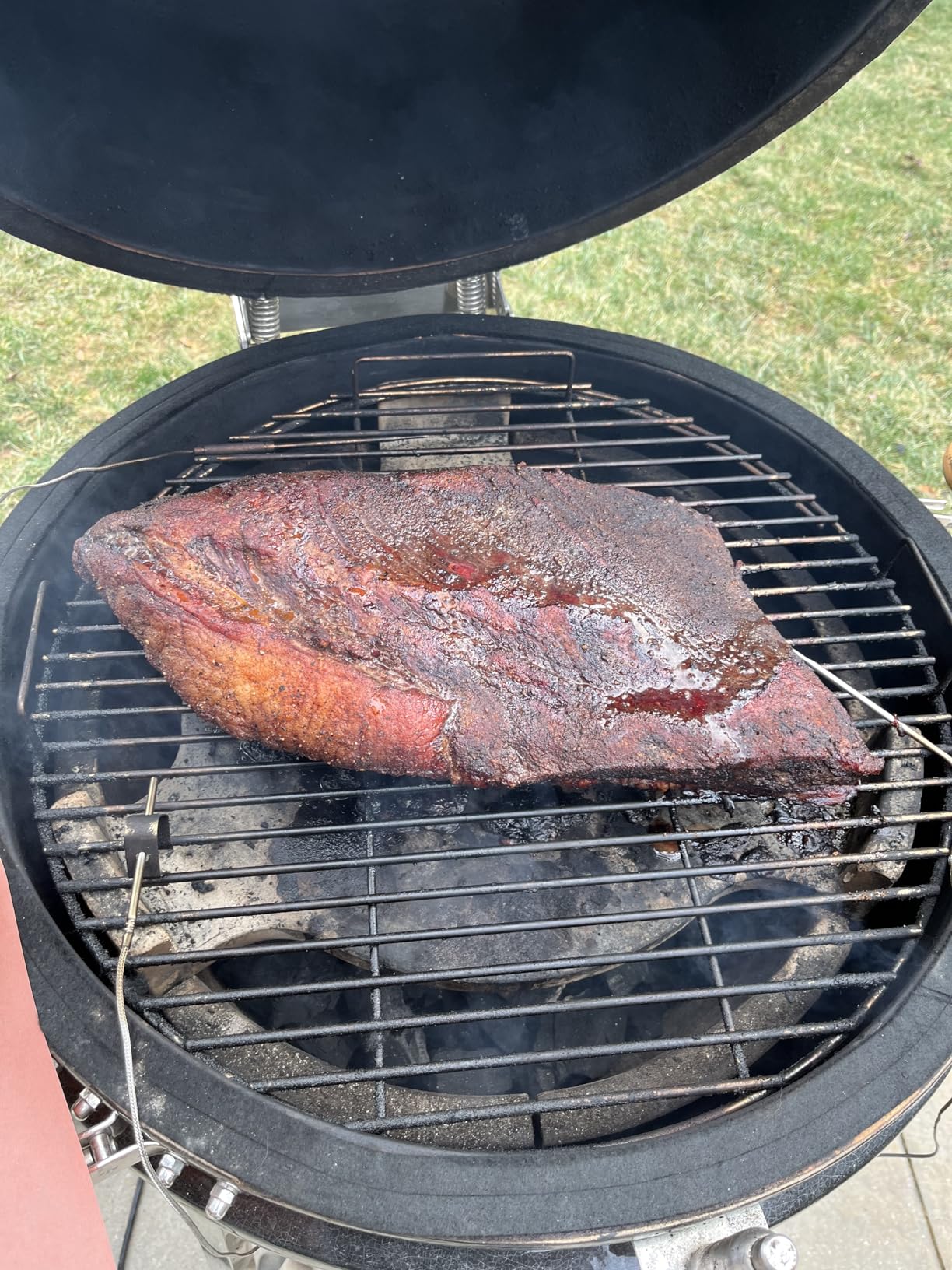 ISC-027BW Probes with Brisket
