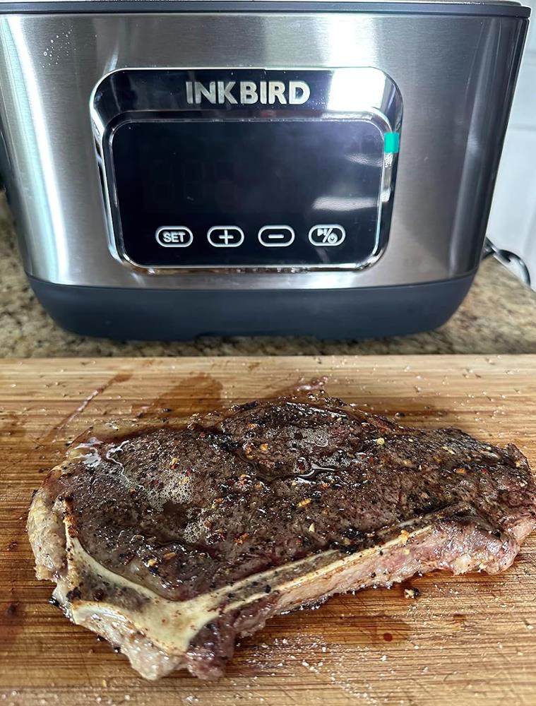ISV-500W with T-Bone Steak