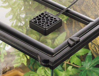 Turn on Dehumidifier