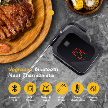 Bluetooth Meat Thermometer IBT-2X