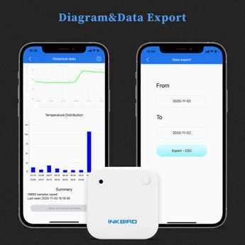 Bluetooth Temperature and Humidity Sensor IBS - TH2 - INKBIRD