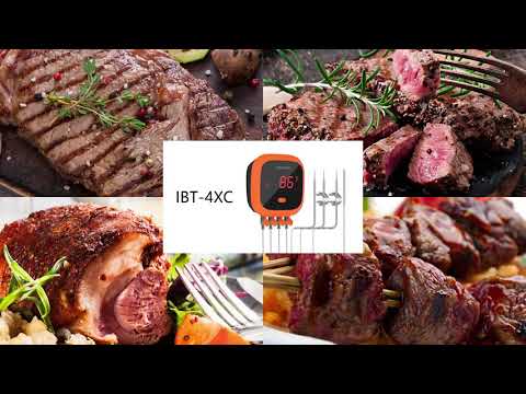 INKBIRD Waterproof Rechargable Wireless Grill Digital Thermometer IBT-4XC -  The Home Depot
