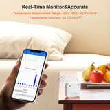 IBS-TH2 Accurate Real-Time Monitor