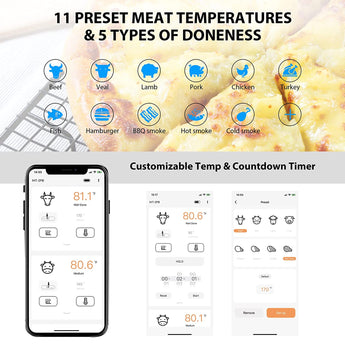 IHT-2PB Preset Meat Temp