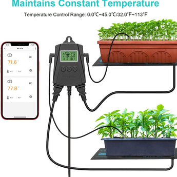 Temperature Controller IPT - 2CH - INKBIRD