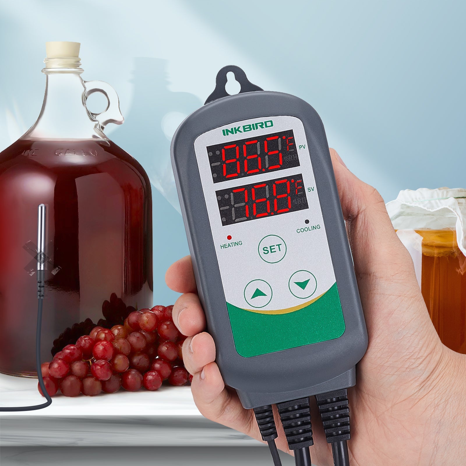 Regolatore Automatico Di Temperatura E Umidità Per Incubatrice Uova – Con Doppia Sonda, 7 Uscite, 220V